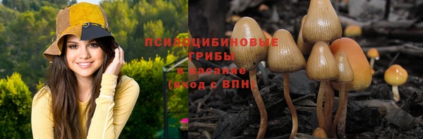 крисы Богданович