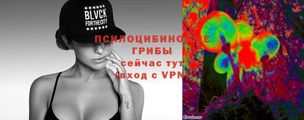 спайс Богородск