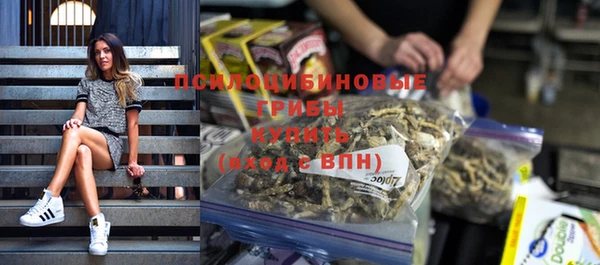 МДМА Богородицк
